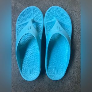 Telic Recovery Flip Flop